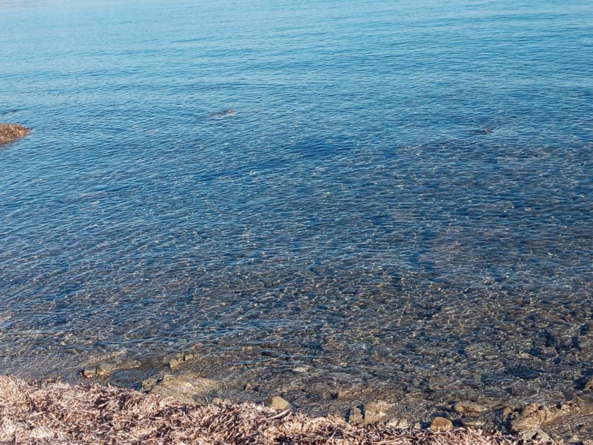 Casabellavista Apartman Budoni Kültér fotó
